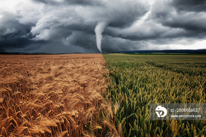 Tornado zerstört eine Landschaft