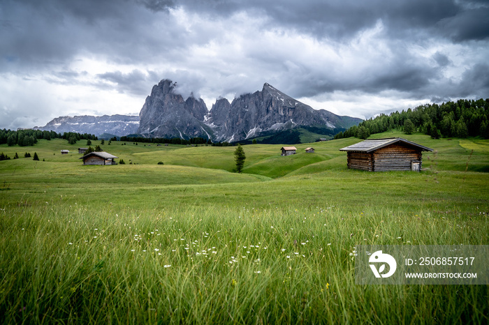 Seiser Alm in den Dolomiten