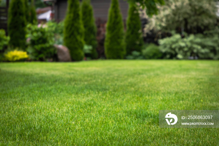 Scenic view of a beautiful landscape garden green freshly mowed lawn