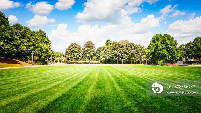 soccer field in summer park