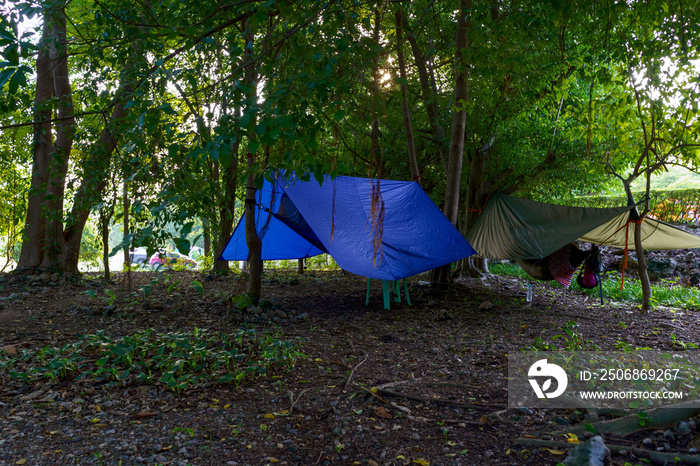 Tent and hammock under tarpaulin in camping site.