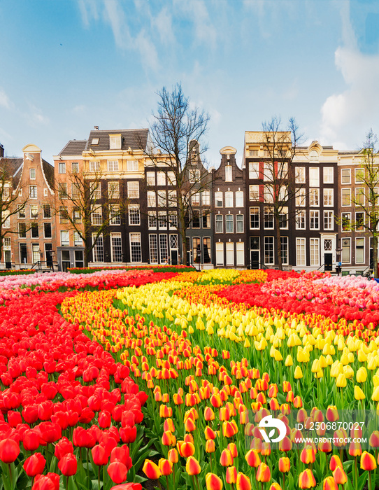 Facades of dutch houses over canal with fresh tulips, Amstardam, Netherlands, retro toned