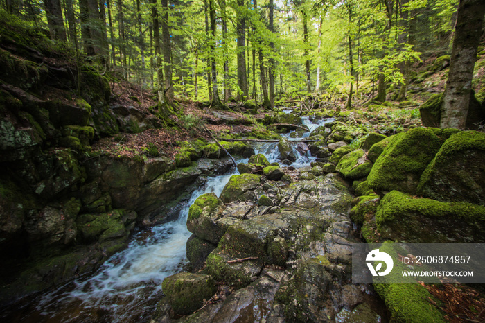 La cascade du Rummel est une chute deau du massif des Vosges située sur la commune de Lepuix dans l