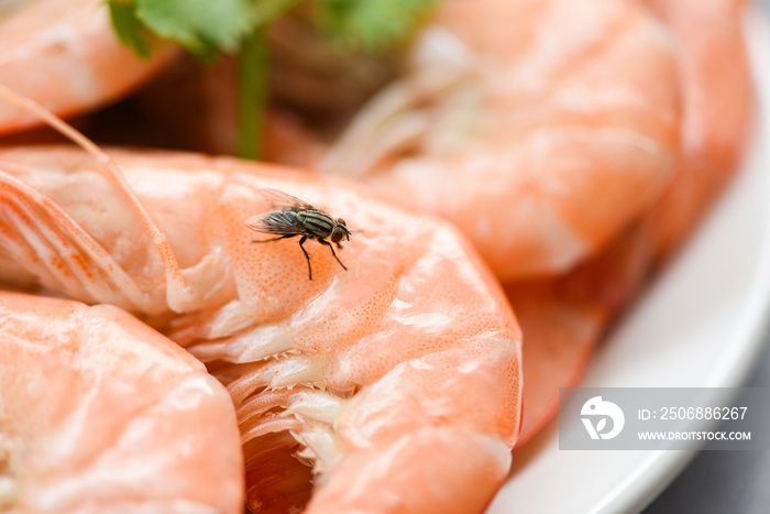 house flies on shrimp the dirty food contamination hygiene concept - fly on food