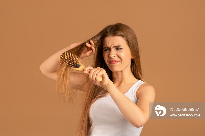 Annoyed young woman having problem brushing her long hair on brown studio background. Hairdressing s