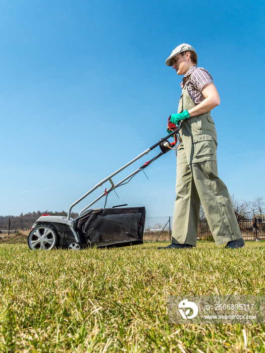 Lawn scarifying