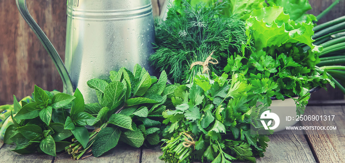 Fresh homemade greens from the garden. Selective focus.