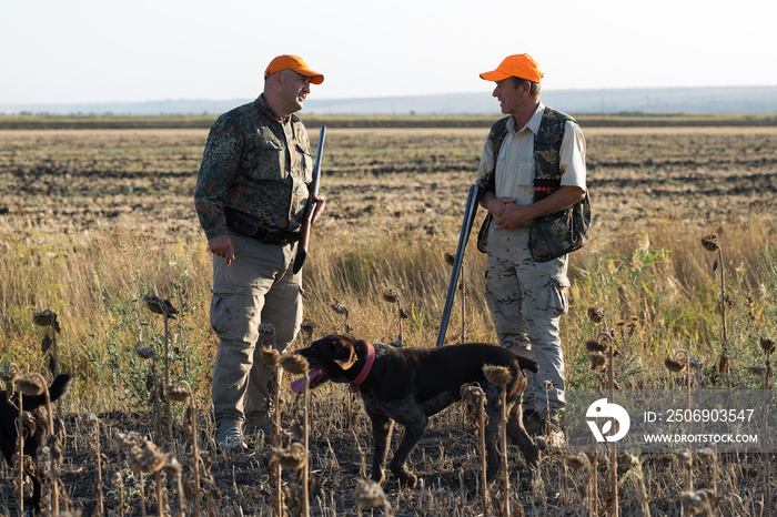 Duck hunters with shotgun walking through a meadow.