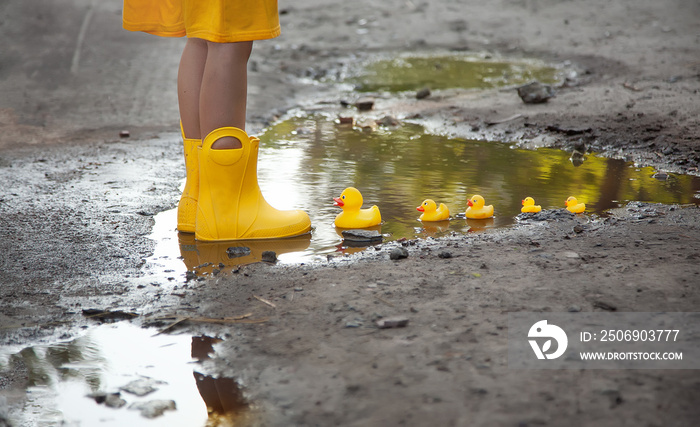 A girl in a yellow dress and yellow rubber boots lets a family of yellow ducks in a puddle. Bright p