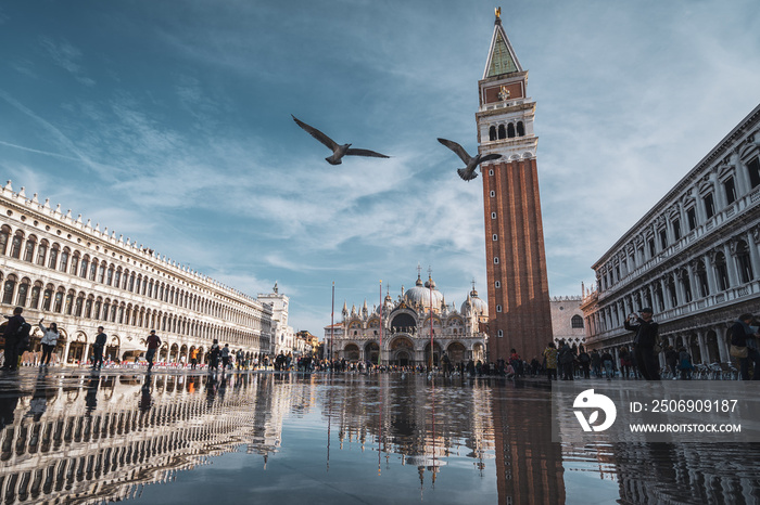 Spiegelndes Wasser am Markusplatz in Venedig mit vorbeifliegenden Möwen