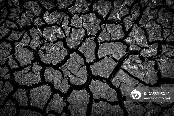 The dark ground is dried and cracks background. The black soil dry land cracked ground surface. land