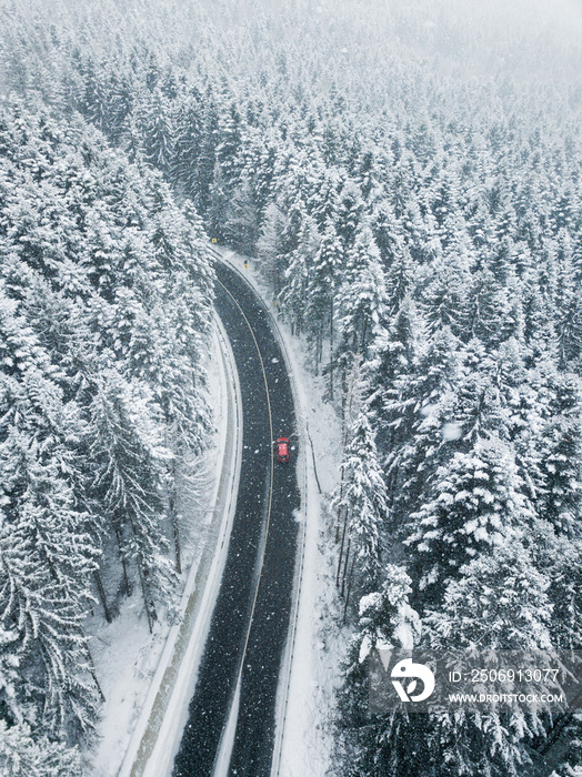 Aerial view of snow covered  pine forest. A red car going between the trees on asphalt road. Nature 