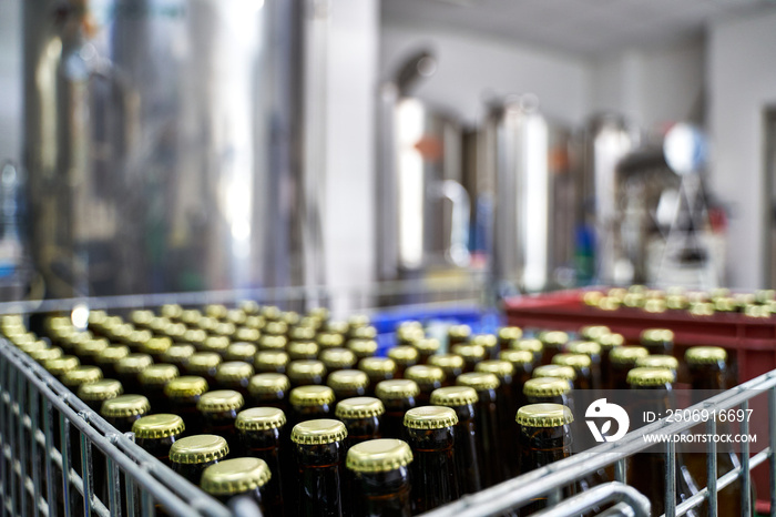 Selective focus on a raw of capped beer bottles in a brewery ready to be distributed in boxes