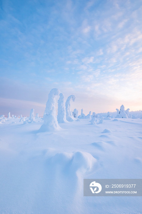 雪景