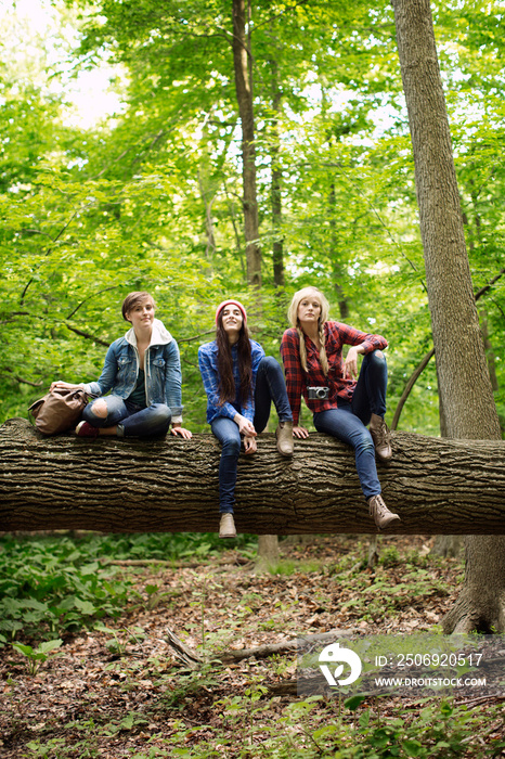 Female friends sitting on log in forest