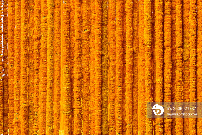 India flower garland, Marigold garland, (Tagetes Erecta, American marigold, African marigold) backgr