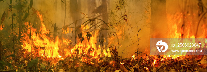 Australia bushfires, The fire is fueled by wind and heat.