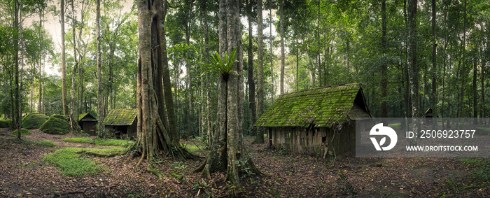 森林中的绿色小屋