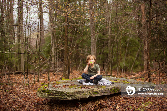 Boy eating lollipop in forest