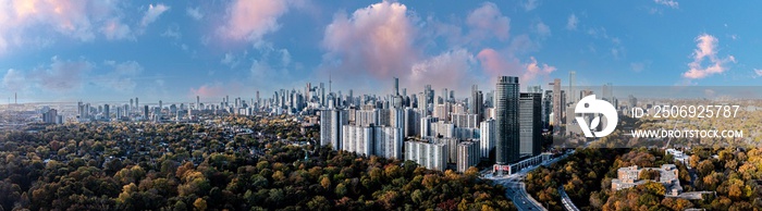 Toronto treetops forest right before the city	purple clouds