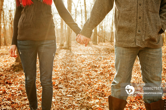 Couple holding hands in forest