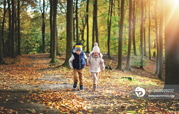 两个孩子在秋天的森林里游荡