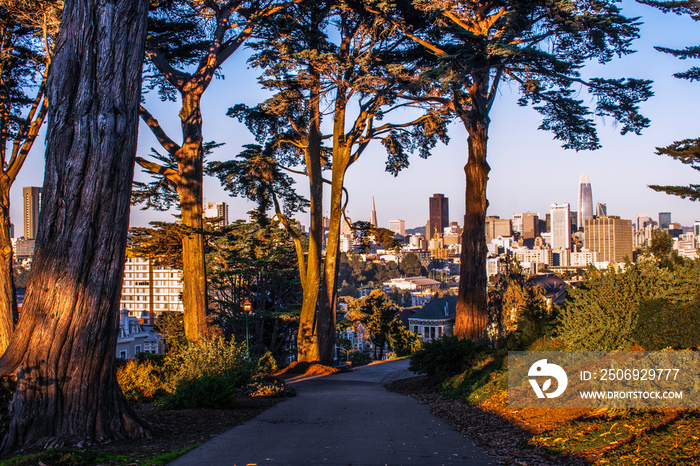 The city of San Francisco as seen from Alamo Square Park.