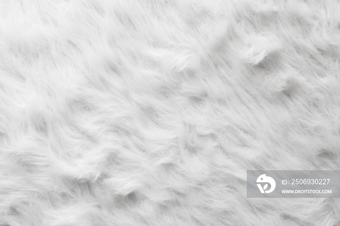 Sheep wool fur background texture wallpaper.