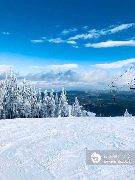 Zieleniec Ski Arena, Polska, Poland