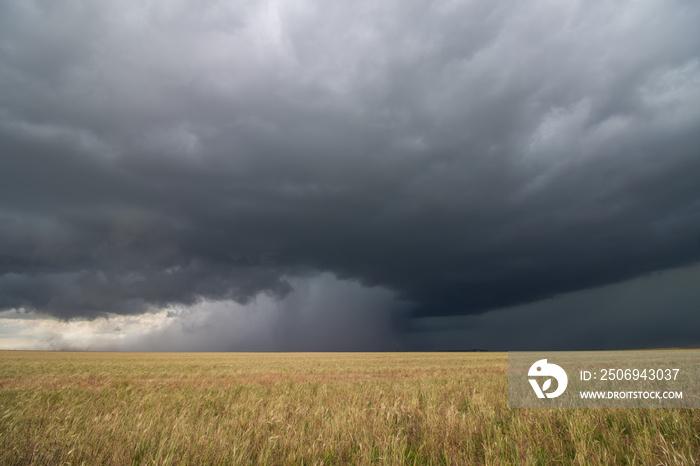 Supercell thunderstorm passes by a dry wheat field, releasing an intense core of rain and hail.