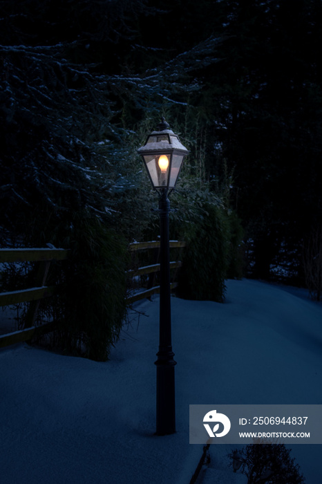 爱尔兰黑暗中雪地花园的灯柱上亮着灯