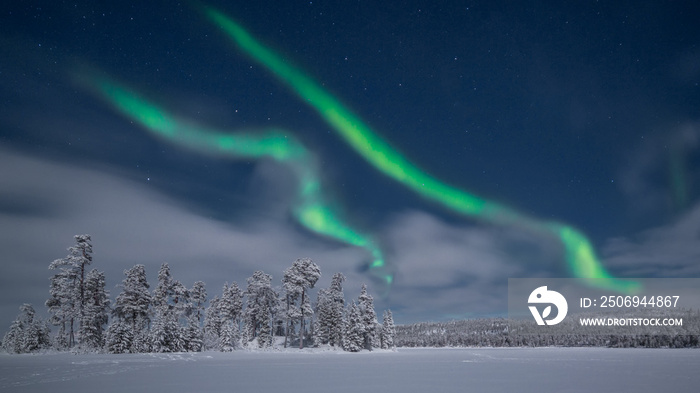 Beautiful aurora at night over the snow field and forest in northern Finland