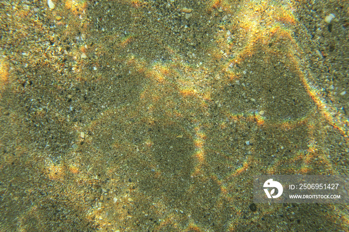 Underwater photo sea bottom seen from the top, light refraction creates small rainbows on the sandy 