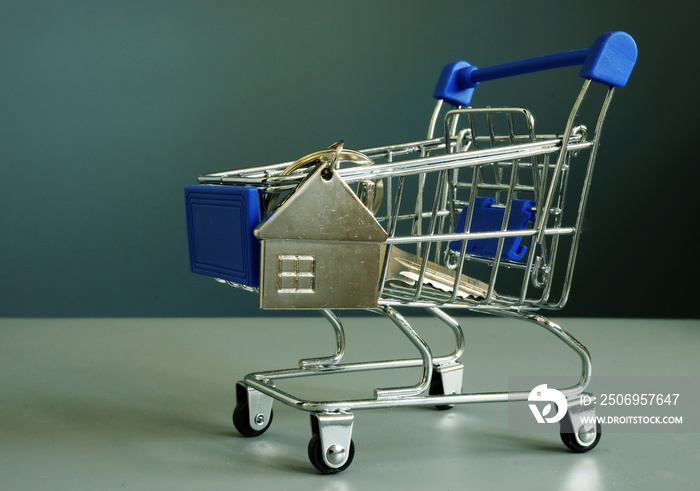 Buying property. Shopping cart and key for home.