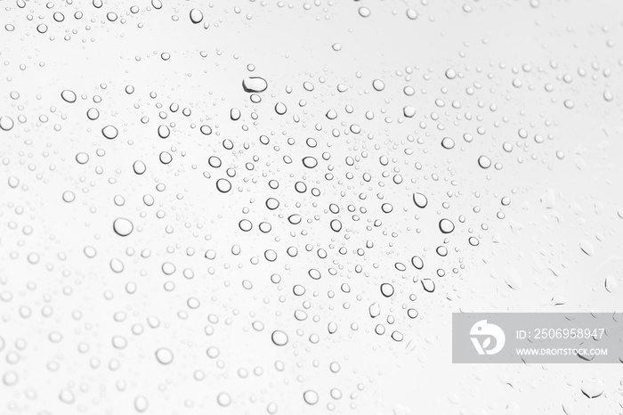 Water drops  on glass , black and white