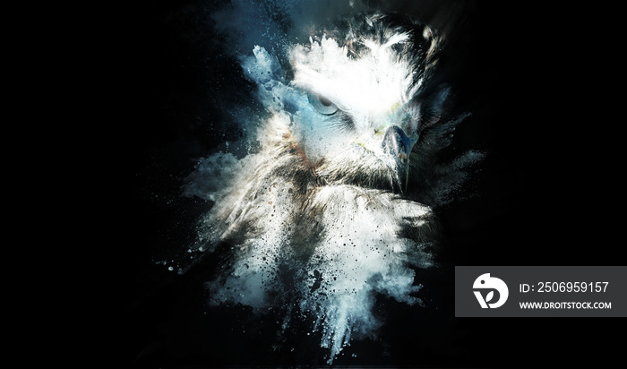 Bİrd of prey. Dispersion, splatter effect. Black background.