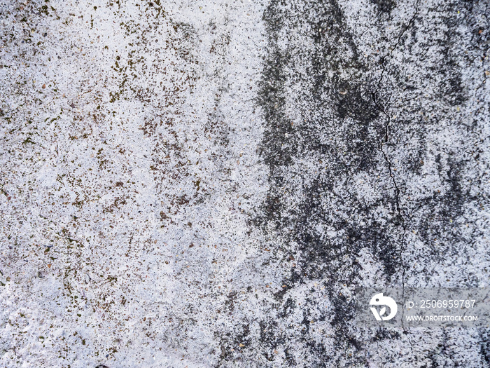 grunge cement texture