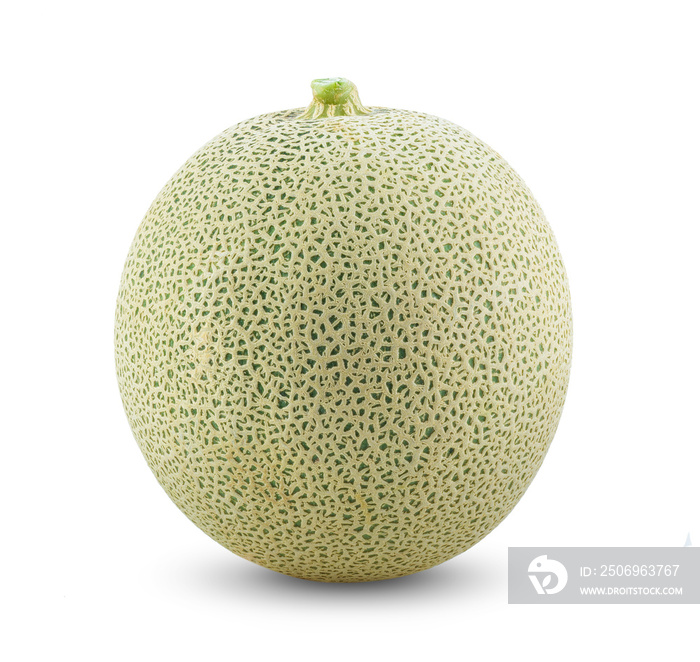 cantaloupe melon isolated on white background