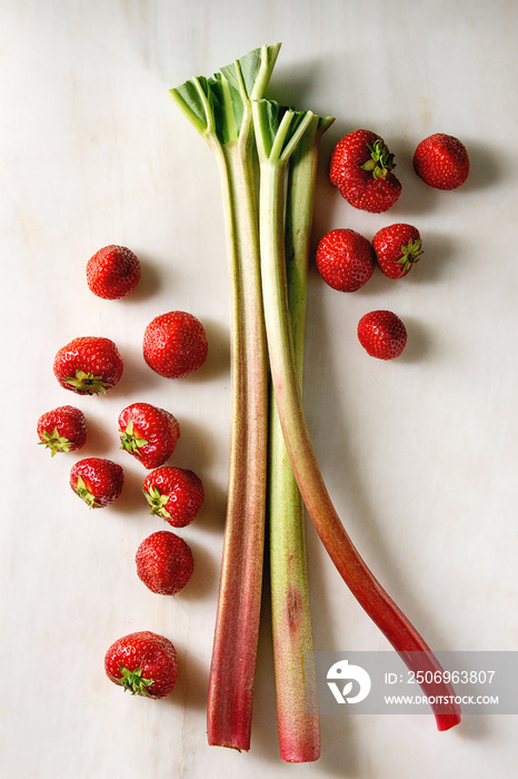 Fresh organic garden strawberries and rhubarb stems over white marble background. Flat lay, space. I