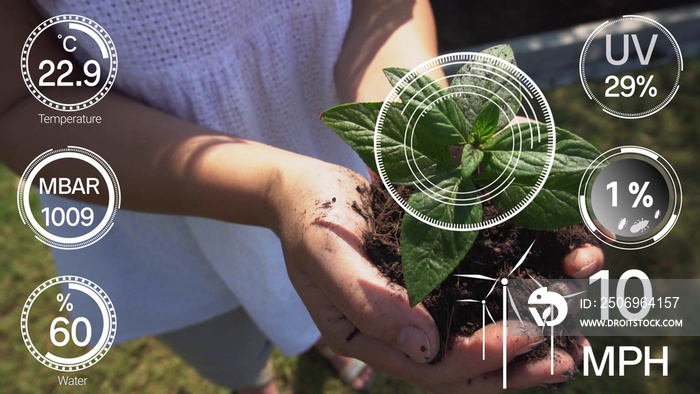 通过人工智能实现未来传感器数据采集管理的智能数字农业技术