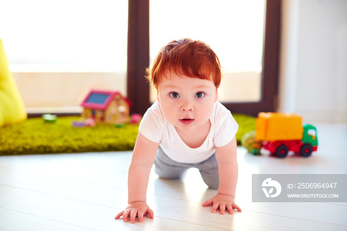可爱的蹒跚学步的婴儿在家里的地板上爬行