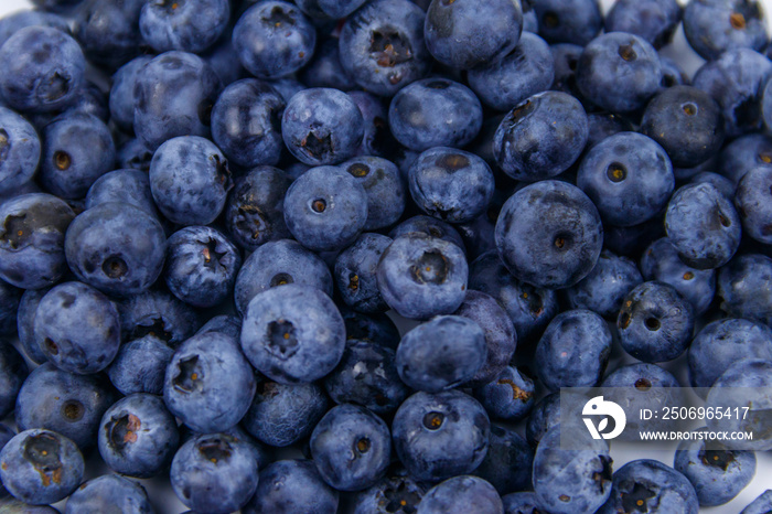 Background of the fresh blueberries