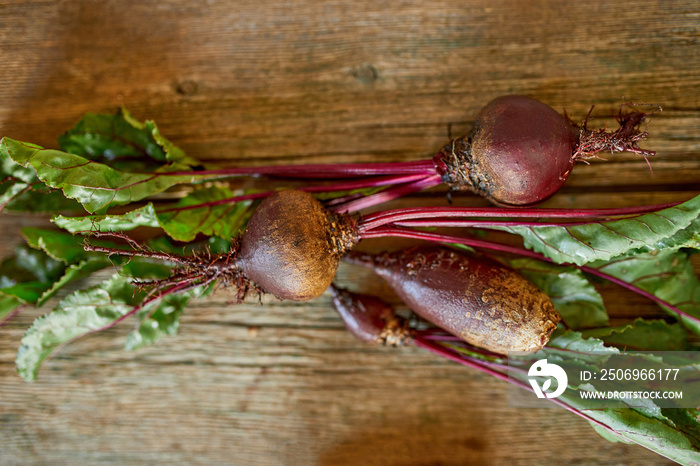 Flat lay of fresh beetroots with roots on wooden background