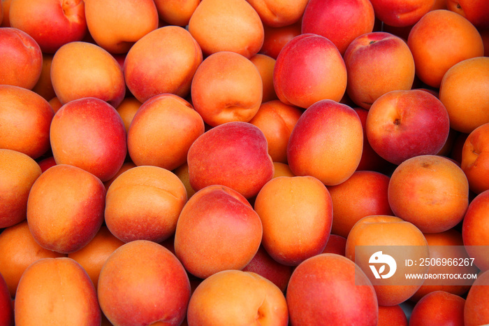 apricots in the market