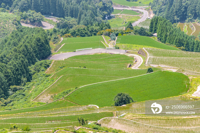 蕨野の棚田　佐賀県唐津市　Warabino Rice terraces Saga-ken Karatsu city