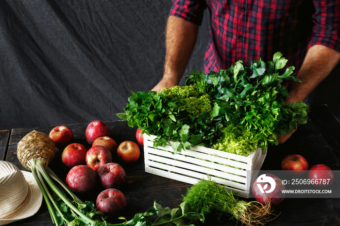 Farmer freshly herbs wooden box dark wooden table red apples