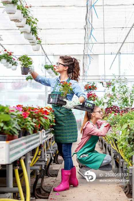 Two woman work in nursery plant with differnt types of flowers