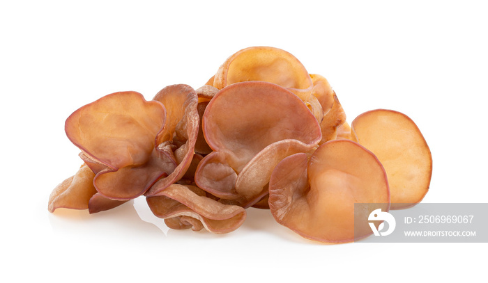Jews ear, Wood ear, Jelly ear isolated on white background. full depth of field