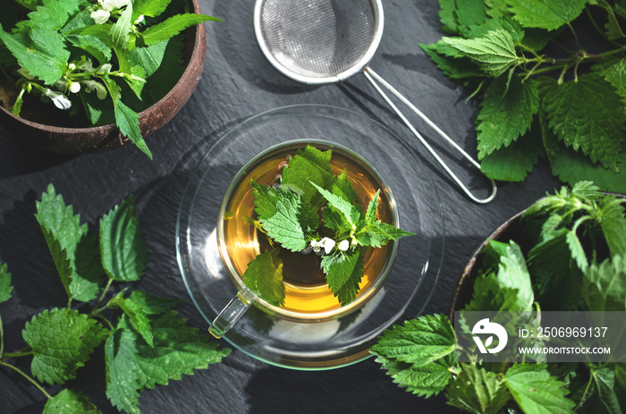 Nettle tea phytotherapy, natural medicine