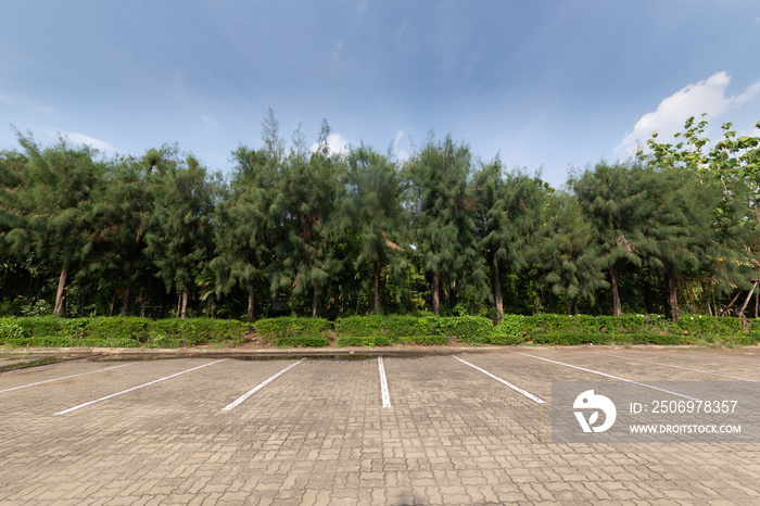 Outdoor public parking on days when there are no cars parked, with concrete blocks floor with a tree